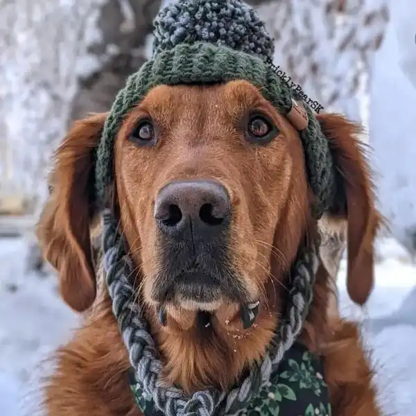 Large Prickly Paw Hat