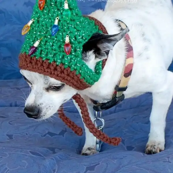 Holidays Hat