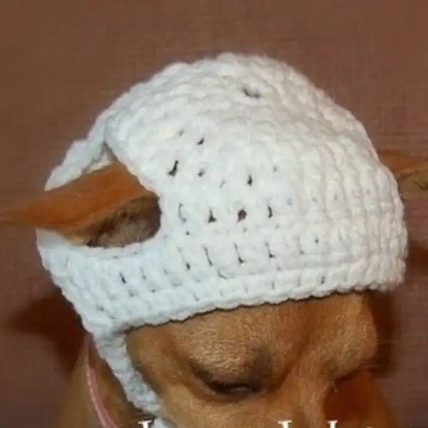 Cozy Canine Cap