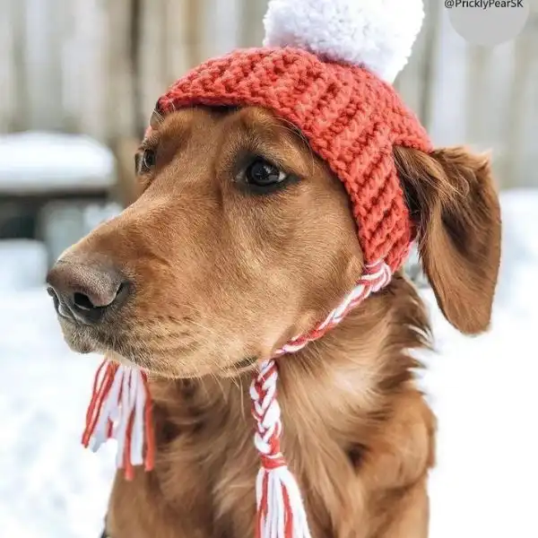  Small Prickly Paw Hat