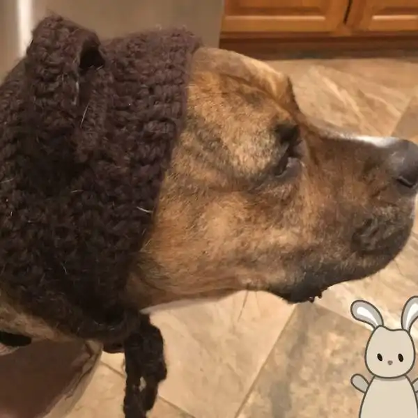 Dog Crochet Bear Hat