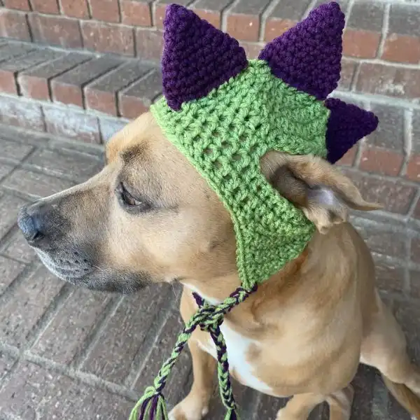 Dinosaur Dog Hat With Spikes