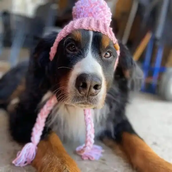 Large Prickly Paw Hat