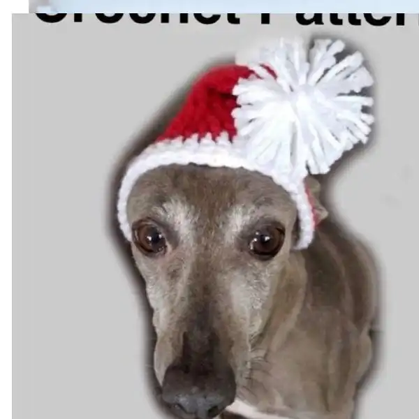 Dog Santa Hat