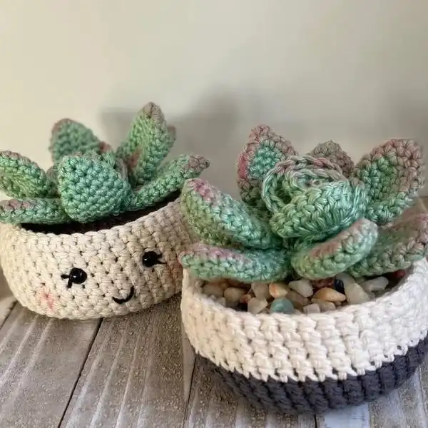 Succulent Amigurumi