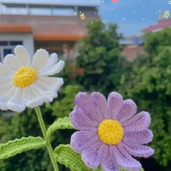 Daisy Crochet Plant