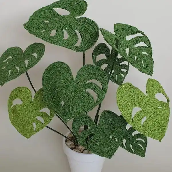 Crochet Swiss Cheese Plant