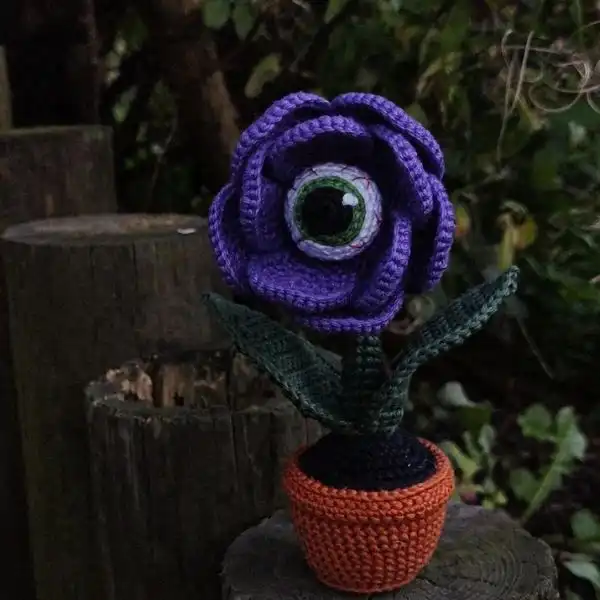 Halloween Eye Plant