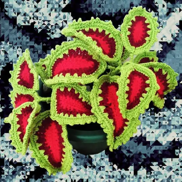 Crochet Coleus Plant