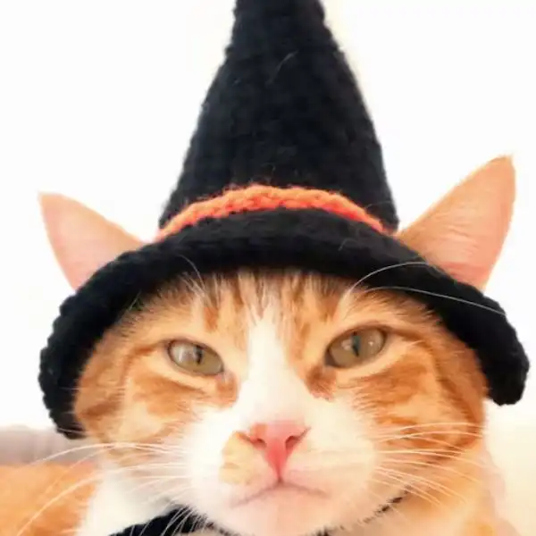 Witch Hat