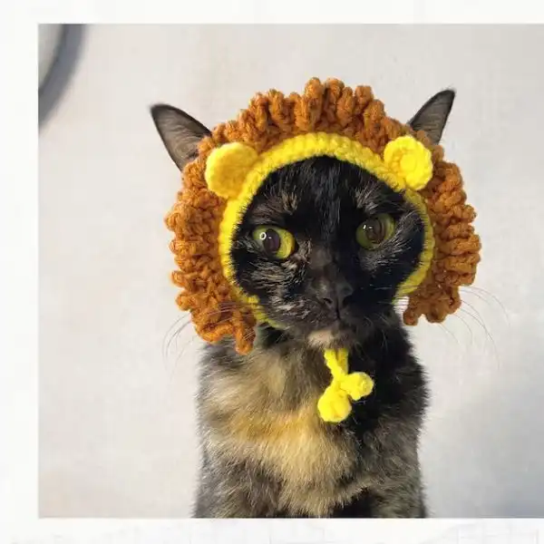 Lion Hat For Cats