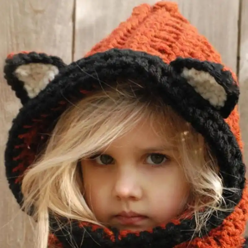 Fox Hoodie