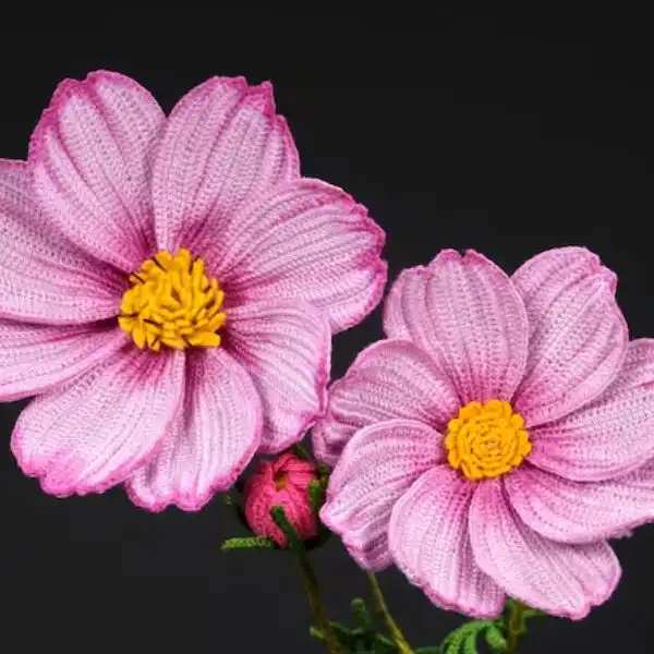 Cosmos Flower Bouquet