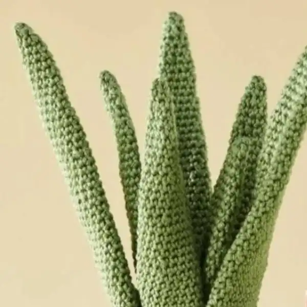 Aloe Vera Amigurumi