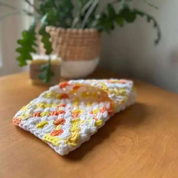 Tunisian Dishcloth Set