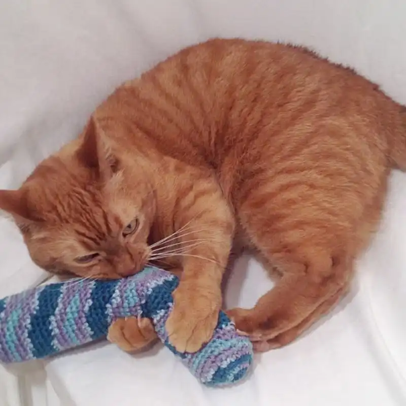 Catnip Kick Stick Cat Toy