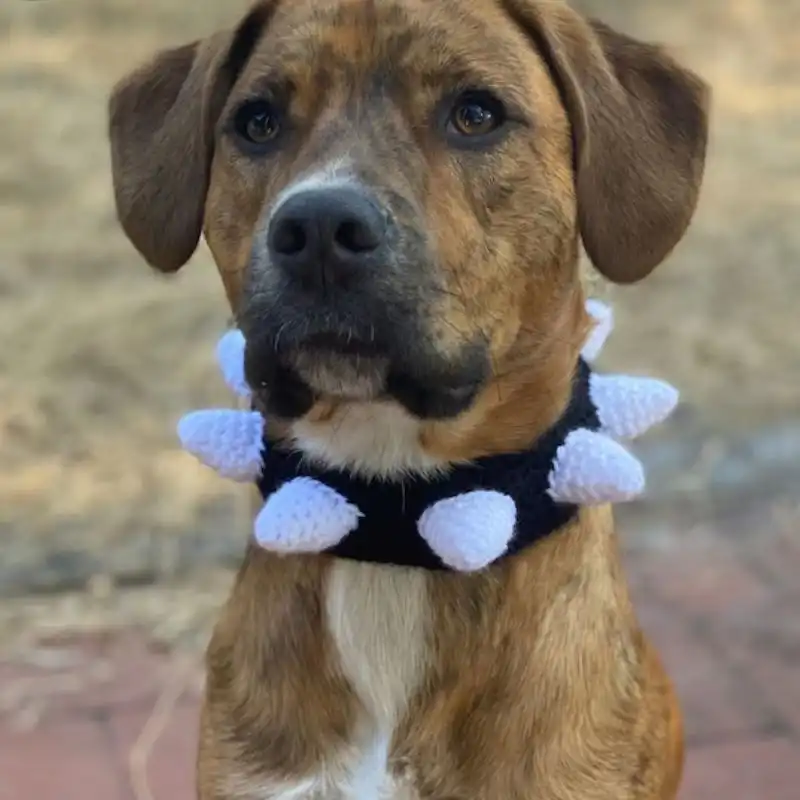 Crochet Spike Slip-On Dog Collar Cover