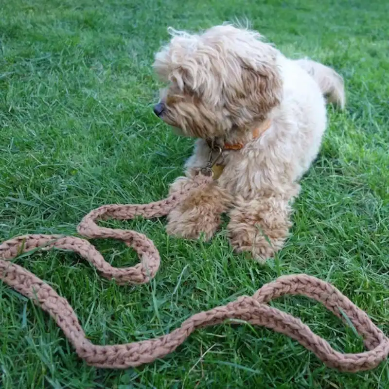 Super Chunky Dog Leash