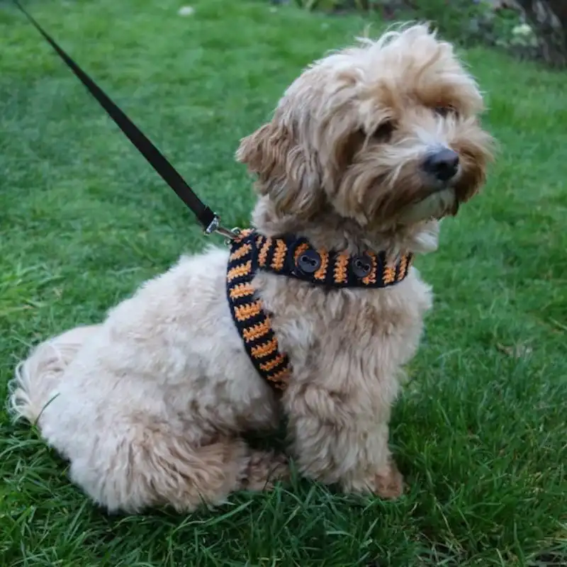 Striped Dog Harness