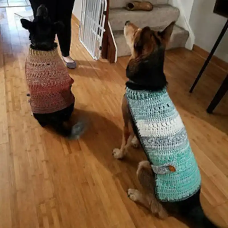 Mandala Dog Coat