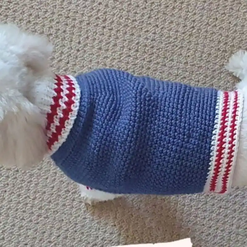 Nautical-Themed Dog Jumper