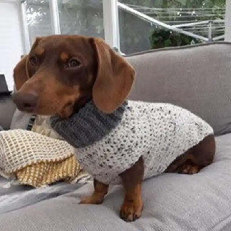 Dachshund Crochet Jumper