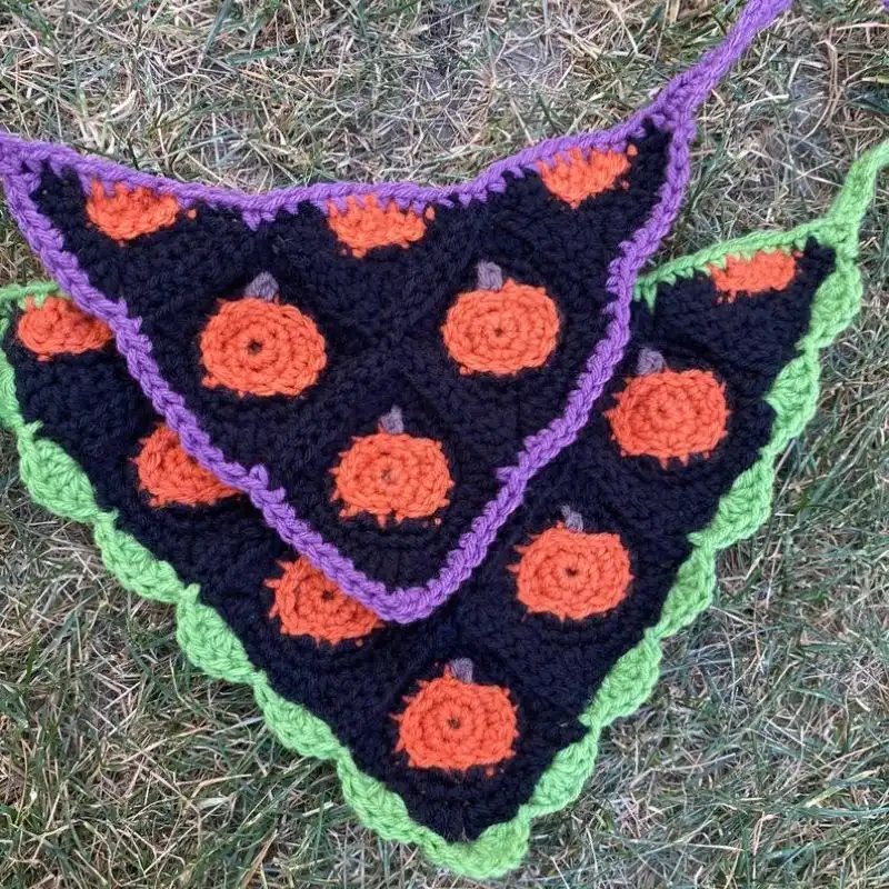 The Pumpkin Bandana Matching Set