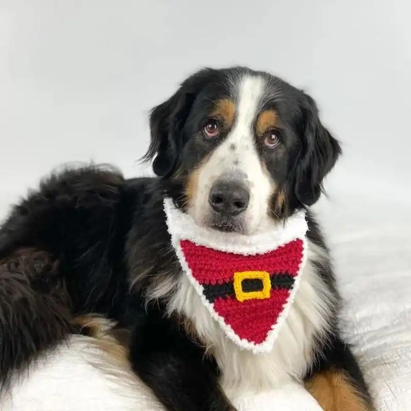 Christmas Dog Bandana