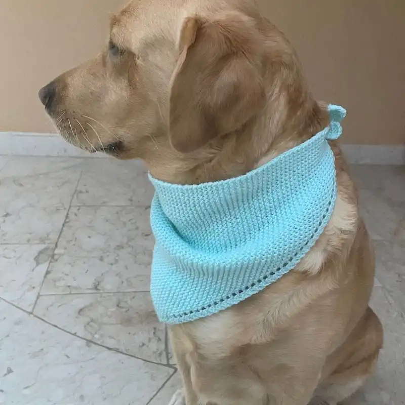 Simply Cute Bandana