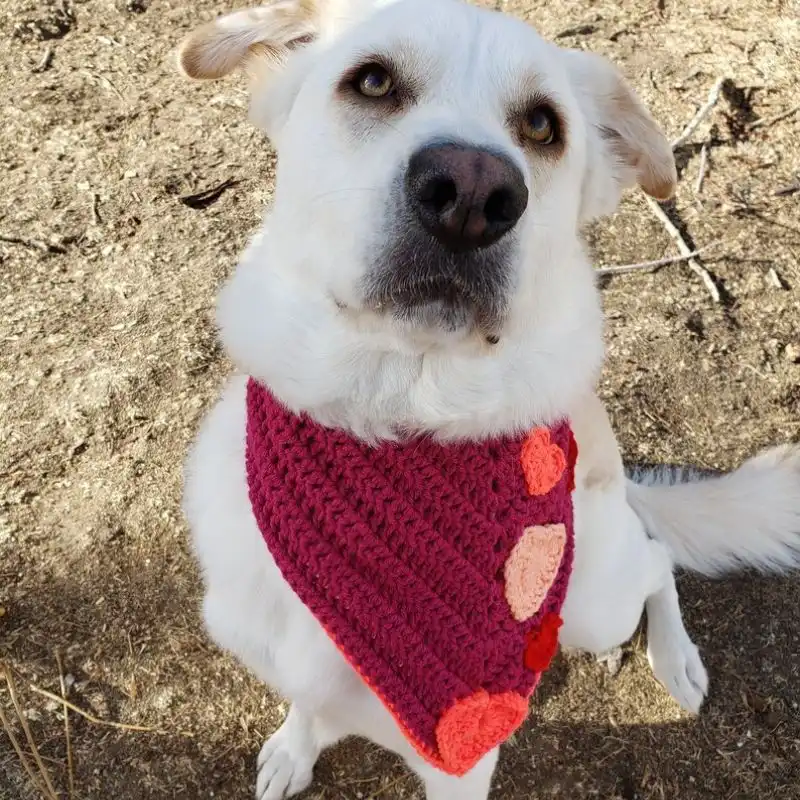 Valentines' Day Dog Bandana