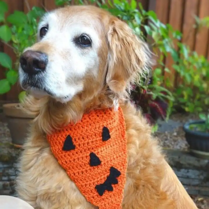 Halloween Dog Bandana