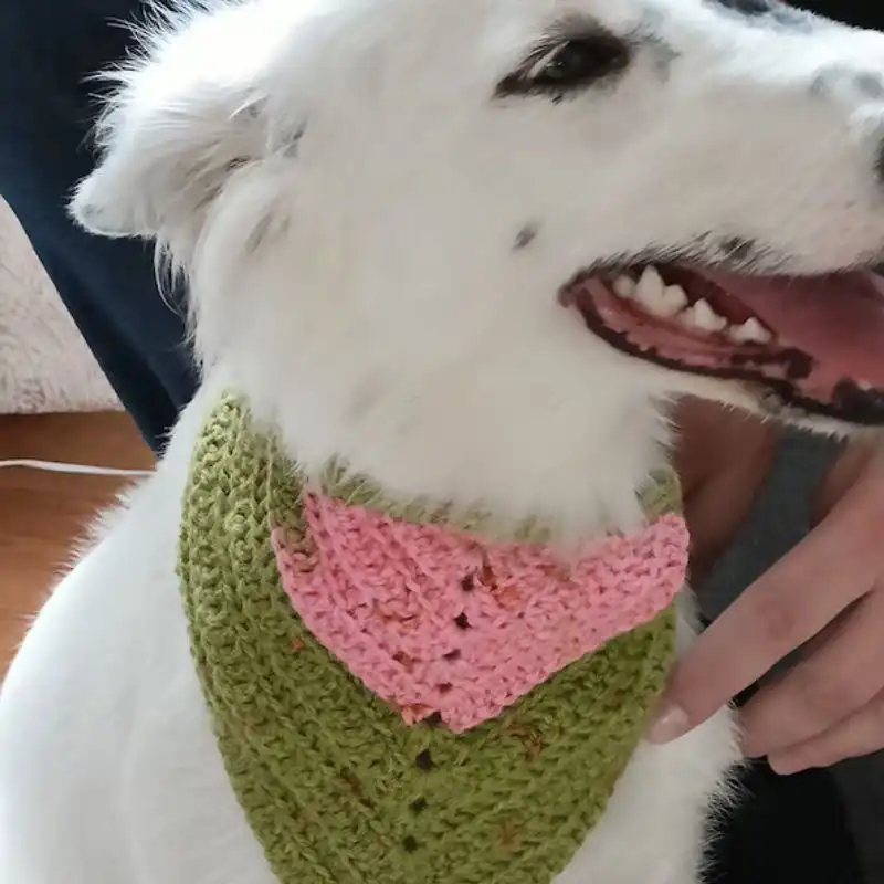 Annie Dog Bandana