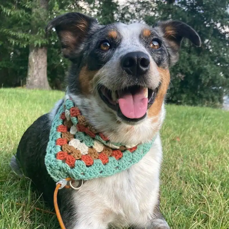 Custom Bandana