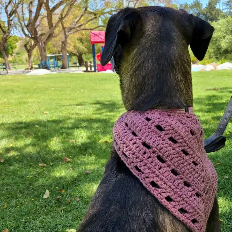 Dog Bandana