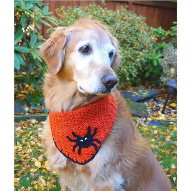 Paw Print Bandana