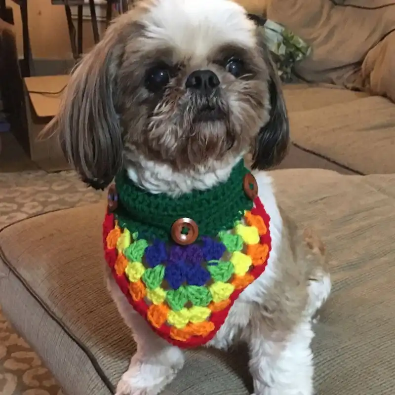 Colorful Dog Bandana