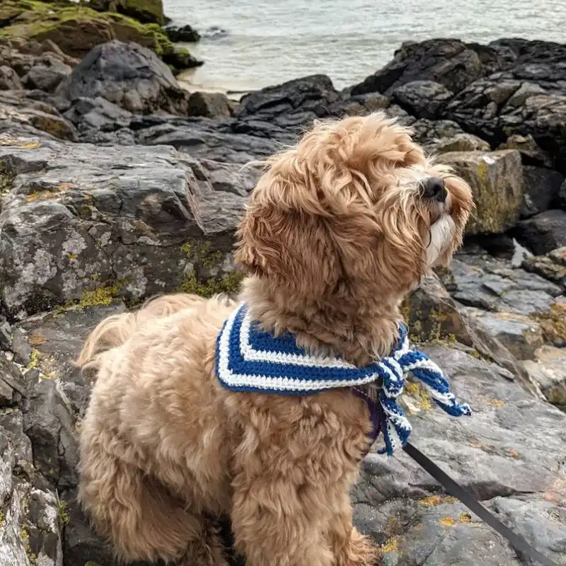 Stripe Bandana