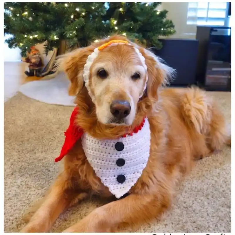 Snowman Dog Bandana