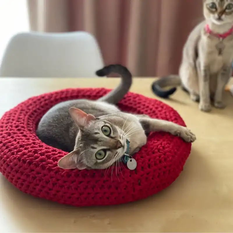 Doughnut-Shaped Pet Bed