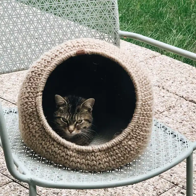 Vintage Oval Cat Dog Bed Pattern