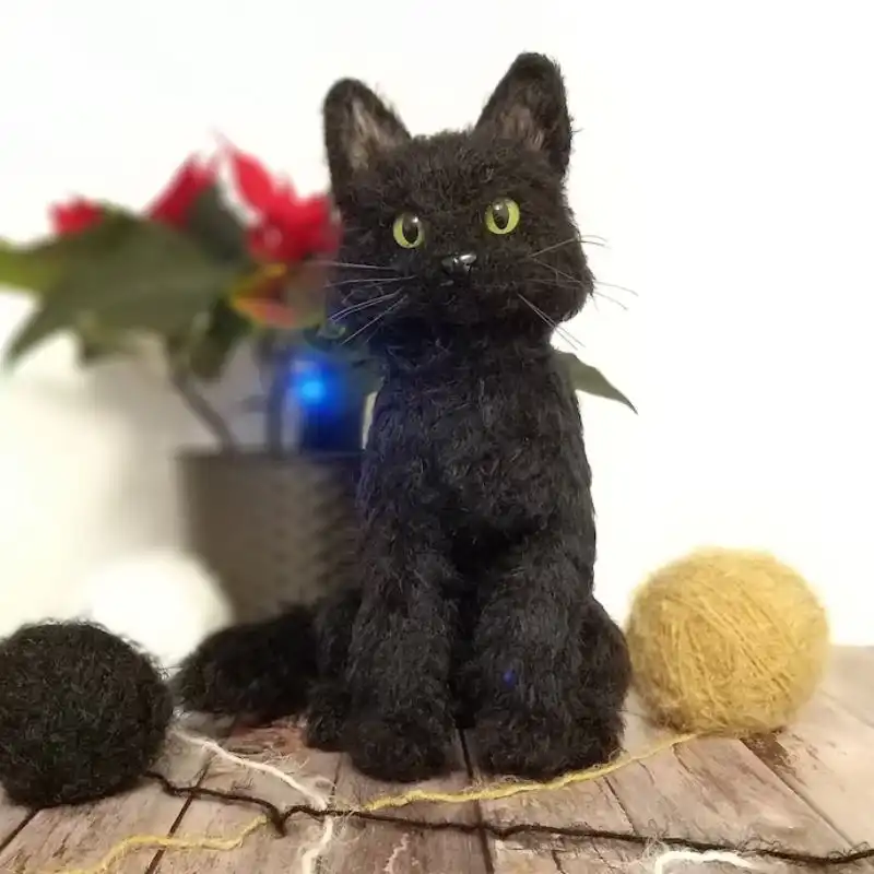 Black Cat