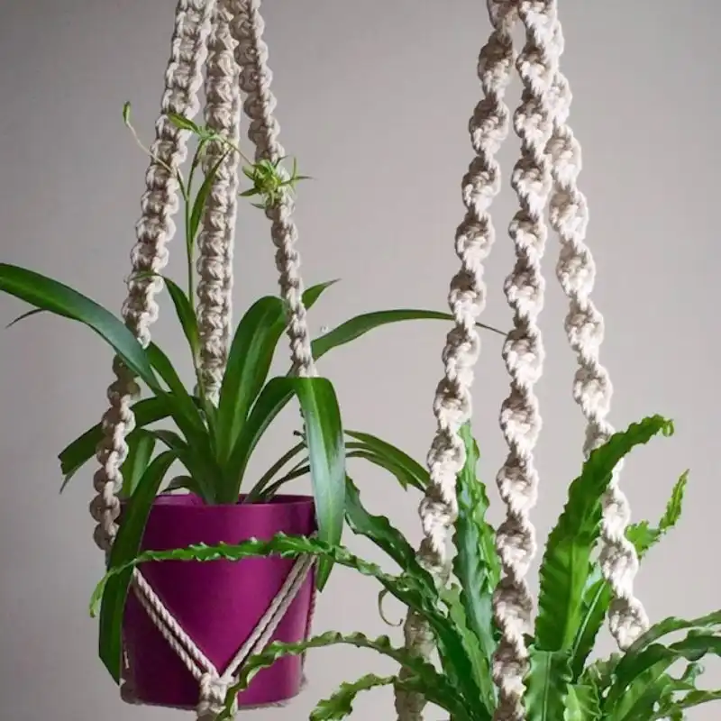 Plant Hanger