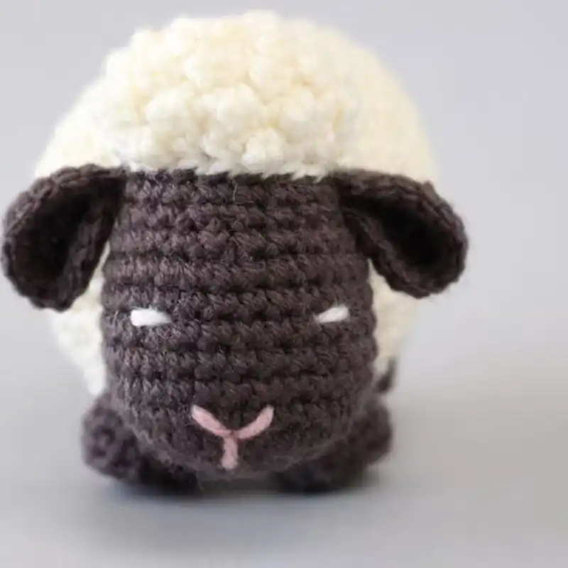 Argo The Sheep