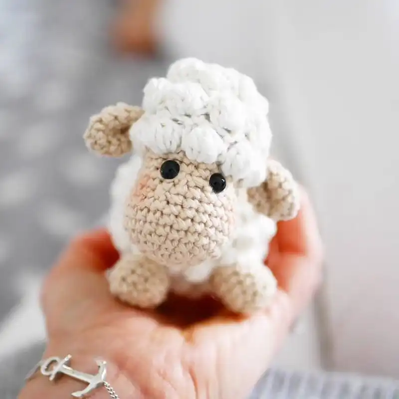 Cute Lamb