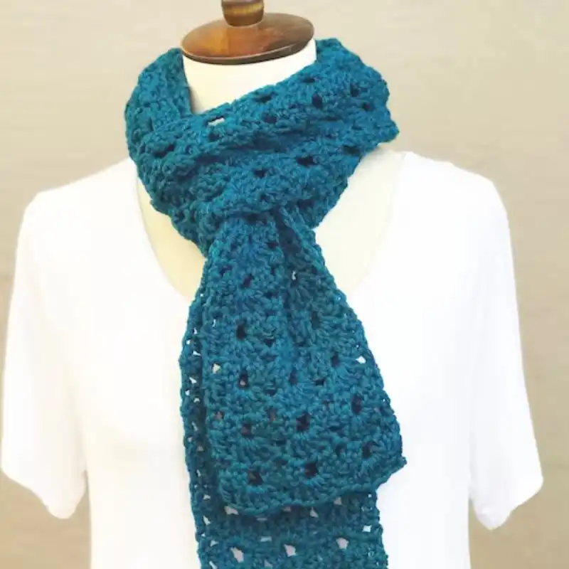 Liguria Scarf One Skein